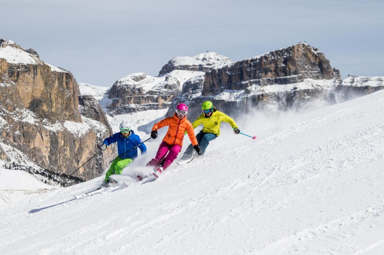 Hotel Ladinia Dolomites View 博萨迪法萨 外观 照片