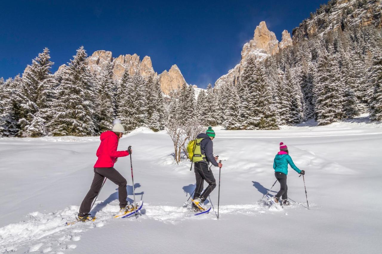 Hotel Ladinia Dolomites View 博萨迪法萨 外观 照片